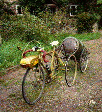 My trike and trailer