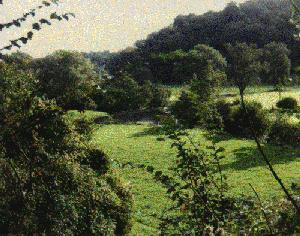 bridge over the Frome