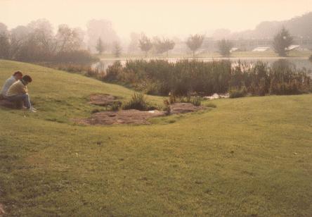 [lake with grass]