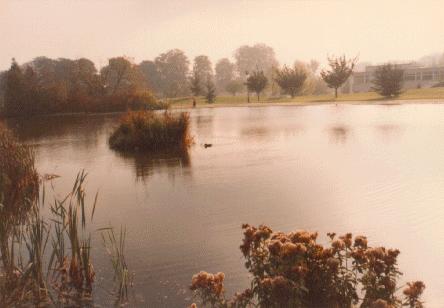 [lake]