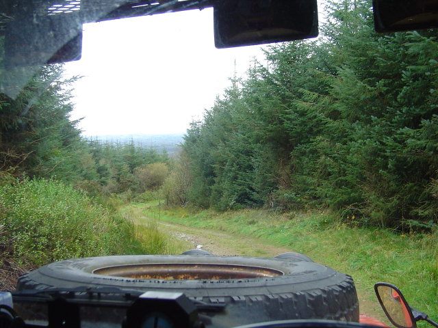 View while green-laning