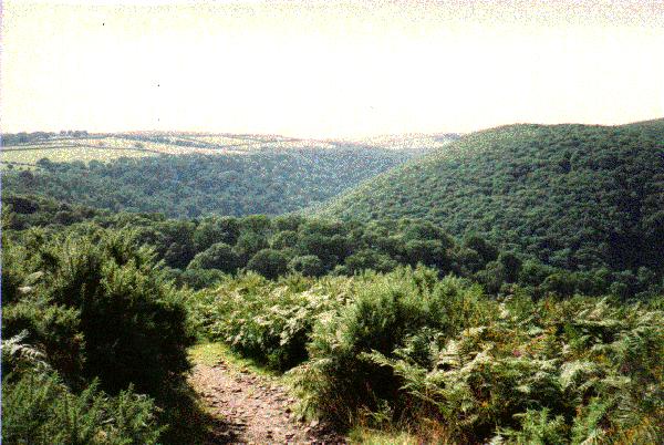 [Webber's Post, on Exmoor]