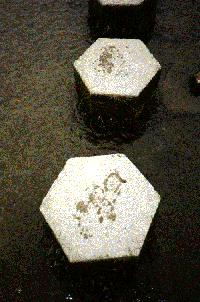 Hexagonal stepping-stones